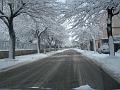 Neve (22)